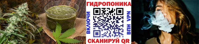 ОМГ ОМГ как войти  Прохладный  Cannafood марихуана 