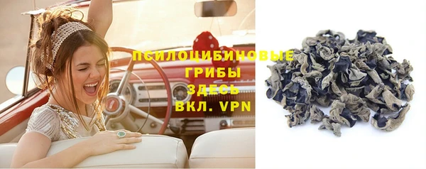 прущий лед Аркадак