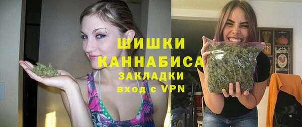 шишки Армянск