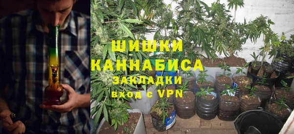 шишки Армянск
