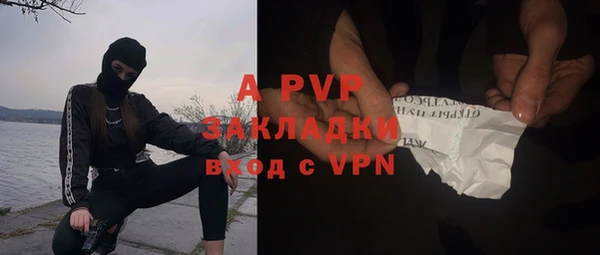 шишки Армянск