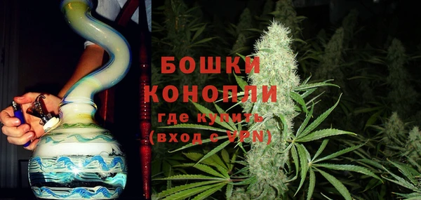 шишки Армянск