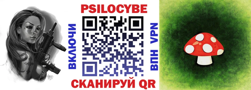 kraken как войти  продажа наркотиков  Прохладный  Псилоцибиновые грибы Cubensis 