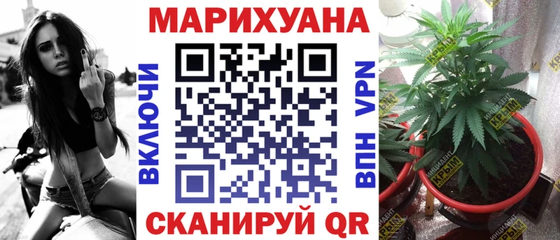 Бошки марихуана LSD WEED Прохладный